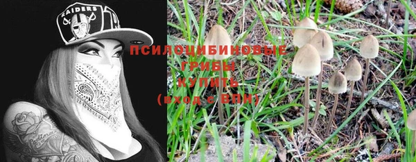 PSILOCYBIN Абаза