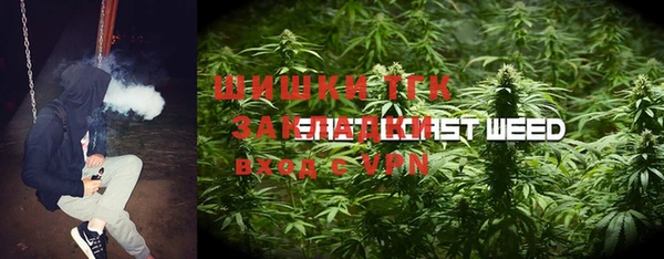 PSILOCYBIN Абаза