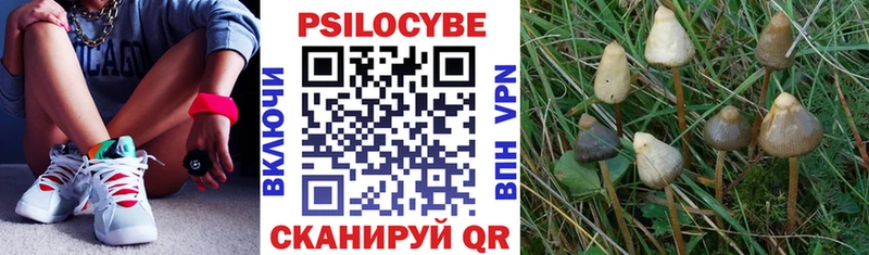 Псилоцибиновые грибы ЛСД  Опочка 